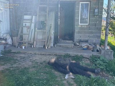 Сын из-за котят до смерти забил 79-летнюю мать