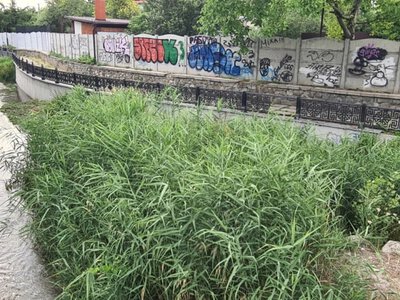 Территория упадка: Малый Салгир в Симферополе (фоторепортаж)