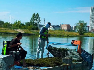 Астанада Есіл өзенін тазарту жұмысы жүріп жатыр