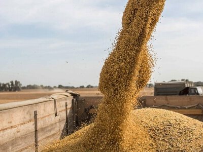  Украина потеряла треть мощностей для экспорта зерна из-за российских атак 