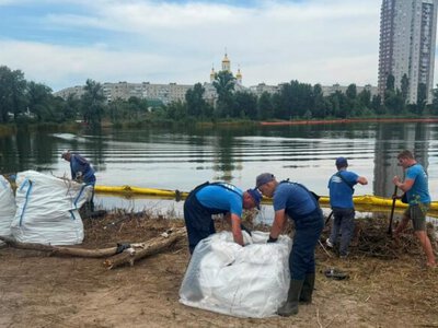 В Киеве уже вторую неделю устраняют последствия загрязнения Кирилловского озера нефтепродуктами после российской атаки