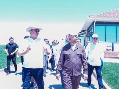 Айдарбек Сапаров: Животноводство становится одной из ключевых точек роста отечественного АПК