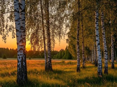 Как по берегу определить сегодня, будет ли осень ранней: приметы дня