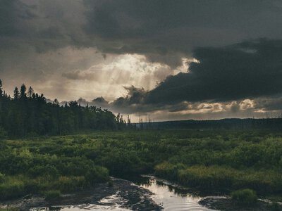 Пригреет до +31, но дождь в западных областях: синоптик о погоде на выходных