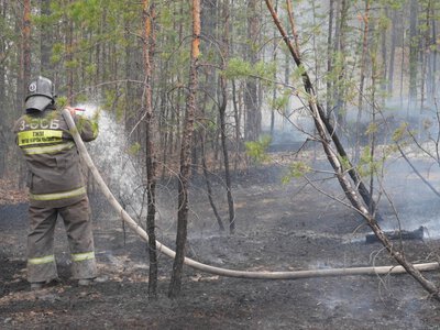 Крупный лесной пожар на территории «Семей орманы» локализован 