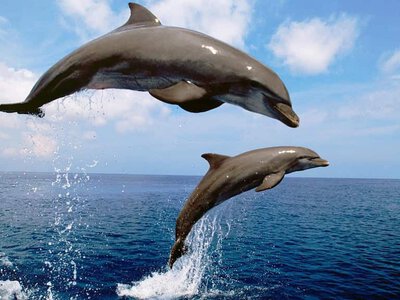 Море у Одессы стало теплее: какая температура воды 19 июля