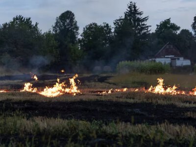  Какие регионы Казахстана накроет чрезвычайная пожарная опасность 