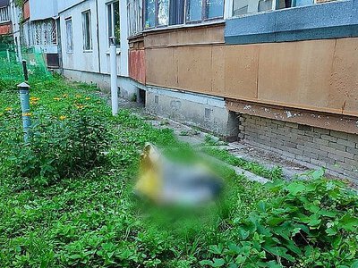 Появились подробности падения мальчика из окна в Харькове