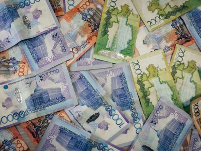  От справки до техпаспорта: какие госуслуги казахстанцы могут получить онлайн 