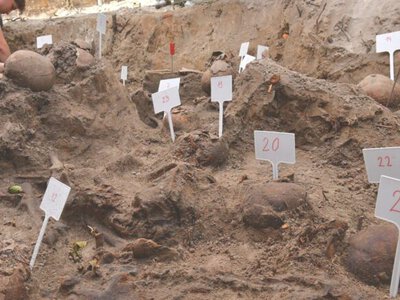 Эксгумация на Волыни: на месте бывшего села обнаружили десятки жертв Второй мировой войны