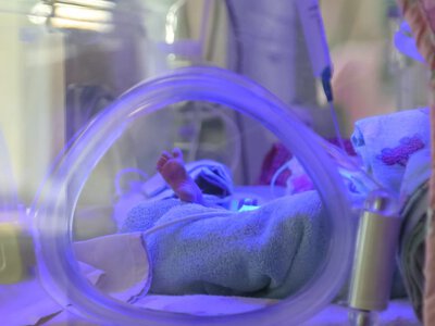  Стали известны подробности гибели тройни в больнице в Алматинской области 