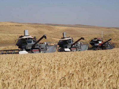 АГРОПРОМЫШЛЕННЫЙ КОМПЛЕКС ТУРКЕСТАНСКОЙ ОБЛАСТИ ЗАНИМАЕТ ПЕРВОЕ МЕСТО В РЕСПУБЛИКЕ