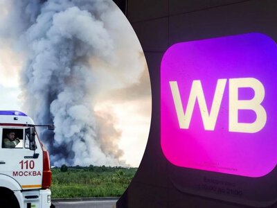 Россияне остались без Wildberries: убытки маркетплейса достигли миллиардов долларов