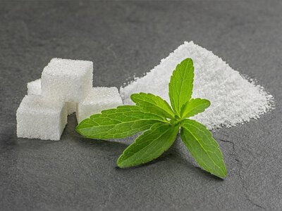 Сладкая иллюзия пользы: 7 популярных заменителей сахара, которые ускоряют старение мозга