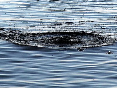 В Харьковской области трое детей упали в воду, утонула 11-летняя девочка