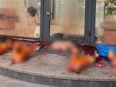 В Киеве у салона красоты оставили отрезанные головы и внутренности свиней: полиция открыла дело
