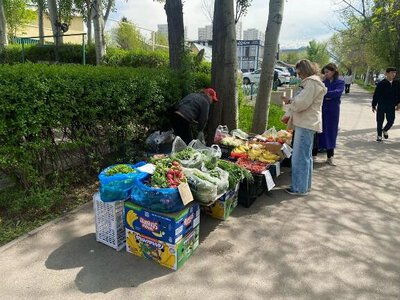 В Ауэзовском районе Алматы ликвидированы 7 крупных точек стихийной торговли