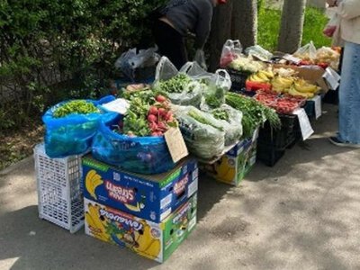  В Алматы ликвидировали семь крупных точек стихийной торговли 