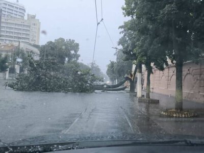 Сильный ливень в Одессе: за полчаса выпала почти месячная норма осадков