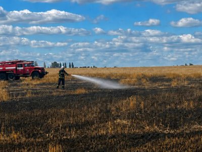 Атака рф вызвала пожар на пшеничном поле в Житомирской области - ОВА