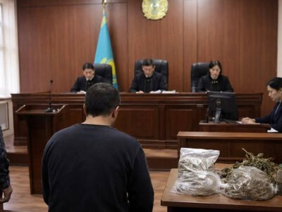  Собрал коноплю у границы: жителя Алматинской области отправили в колонию 
