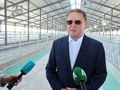 До конца года в Костанайском районе введут в эксплуатацию две молочно-товарные фермы
