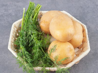Как вкусно приготовить молодой картофель: рецепты, в которые вы влюбитесь