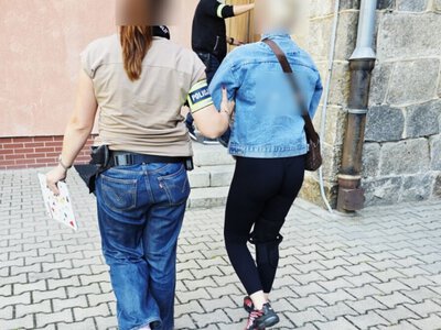  В Польше задержали женщину, избившую двух украинских детей 
