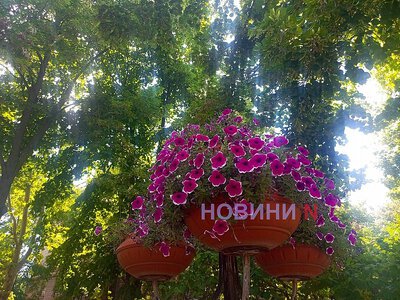 Погода в Николаевской области 23 июля: ожидаются дожди, а ветер изменится на северный