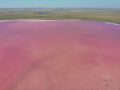  Розовое озеро Көбейтұз станет частью нацпарка: что изменится для туристов и природы 