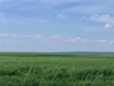 Учёные и экологи предлагают присвоить Великому Лугу статус кандидата в список Всемирного наследия ЮНЕСКО
