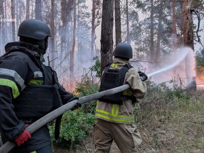 Экоцид в «Святых Горах»: война уничтожила почти 30 % лесов легендарного национального парка