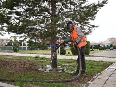 В Талдыкоргане регулярно проводятся работы по поливу и уходу за зелеными насаждениями