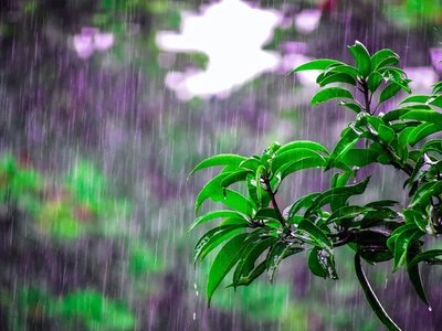 В Украине станет прохладнее, местами пройдут дожди - синоптик дала прогноз на 24 июля