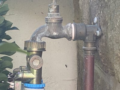 Полив у спеку: як не нашкодити рослинам гарячою водою
