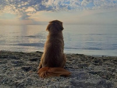 Отдых на море в Одессе: какой температуры будет вода 24 июля