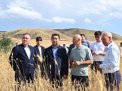 Айдарбек Сапаров ознакомился с реализацией инвестпроектов АПК и ходом уборочной кампании в области Жетісу