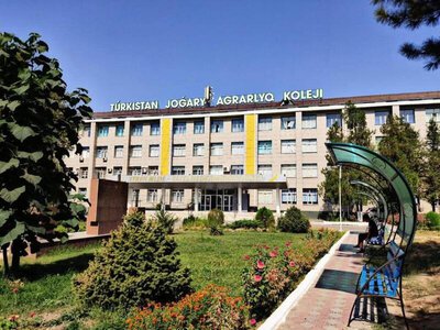 КОЛЛЕДЖАМ ТУРКЕСТАНСКОЙ ОБЛАСТИ НА НОВЫЙ УЧЕБНЫЙ ГОД ВЫДЕЛЕНО 15 600 ГОСУДАРСТВЕННЫХ ГРАНТОВ