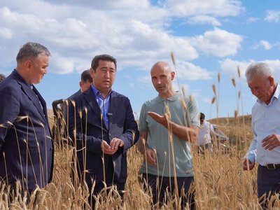 Айдарбек Сапаров ознакомился с реализацией инвестпроектов АПК и ходом уборочной кампании в области Жетісу