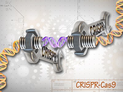 Як CRISPR-редагування генів змінює медицину