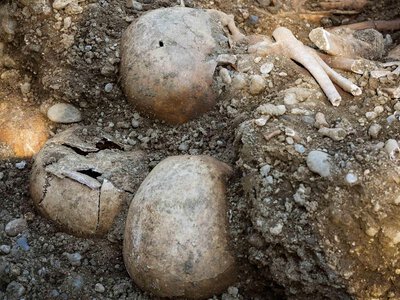Пошла играть на строительную площадку: ребенок обнаружил массовое захоронение 120 человек в родном городе Гитлера