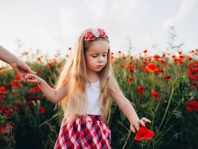Туристов могут оштрафовать за фотографии: какие правила действуют в заповедниках