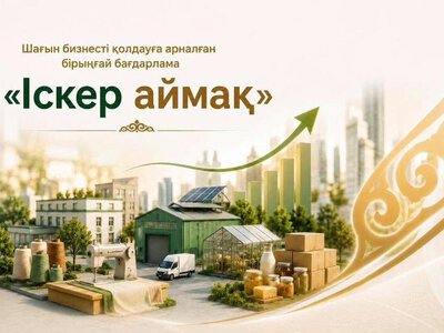 Реализация поручений Президента по поддержке МСБ: 21 млрд тенге на поддержку малого бизнеса