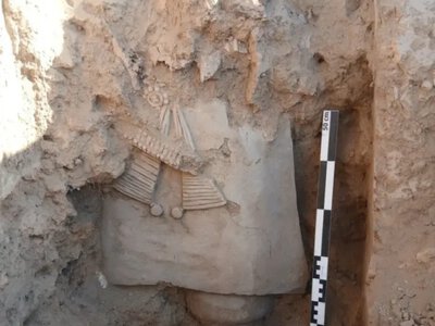 Археологи нашли вероятный дворец правителей VIII века в Узбекистане