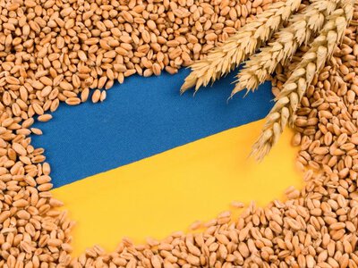 Зеленский анонсировал обновление плана защиты зернового экспорта