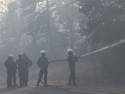  Франция увеличила число военных для борьбы с лесными пожарами 
