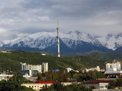  В Алматы модернизируют интернет-инфраструктуру в 10 тысячах жилых домов 