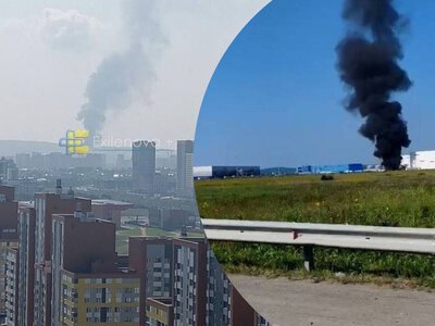 Выверенная стратегия: какое влияние удары по Wildberries будут иметь на экономику России