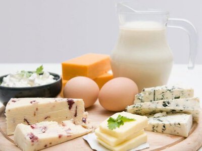 Дієтолог порадила тим, хто худне поєднувати білок і рослинні волокна