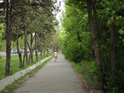 Названо оптимальну кількість кроків на день для здоров'я нирок